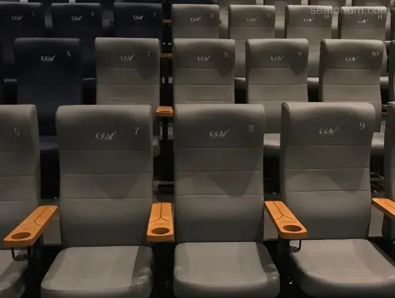 Cinema Seating Arrangement
